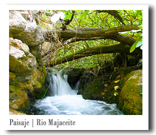 Rio Majaceite (El bosque)